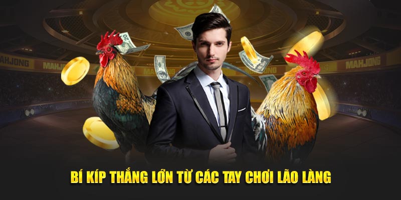 Bí kíp thắng lớn từ các tay chơi lão làng