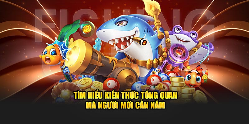 Tìm hiểu kiến thức tổng quan mà người mới cần nắm